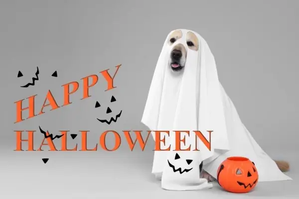 Happy Halloween from Coastal Mortgage Services, Inc.